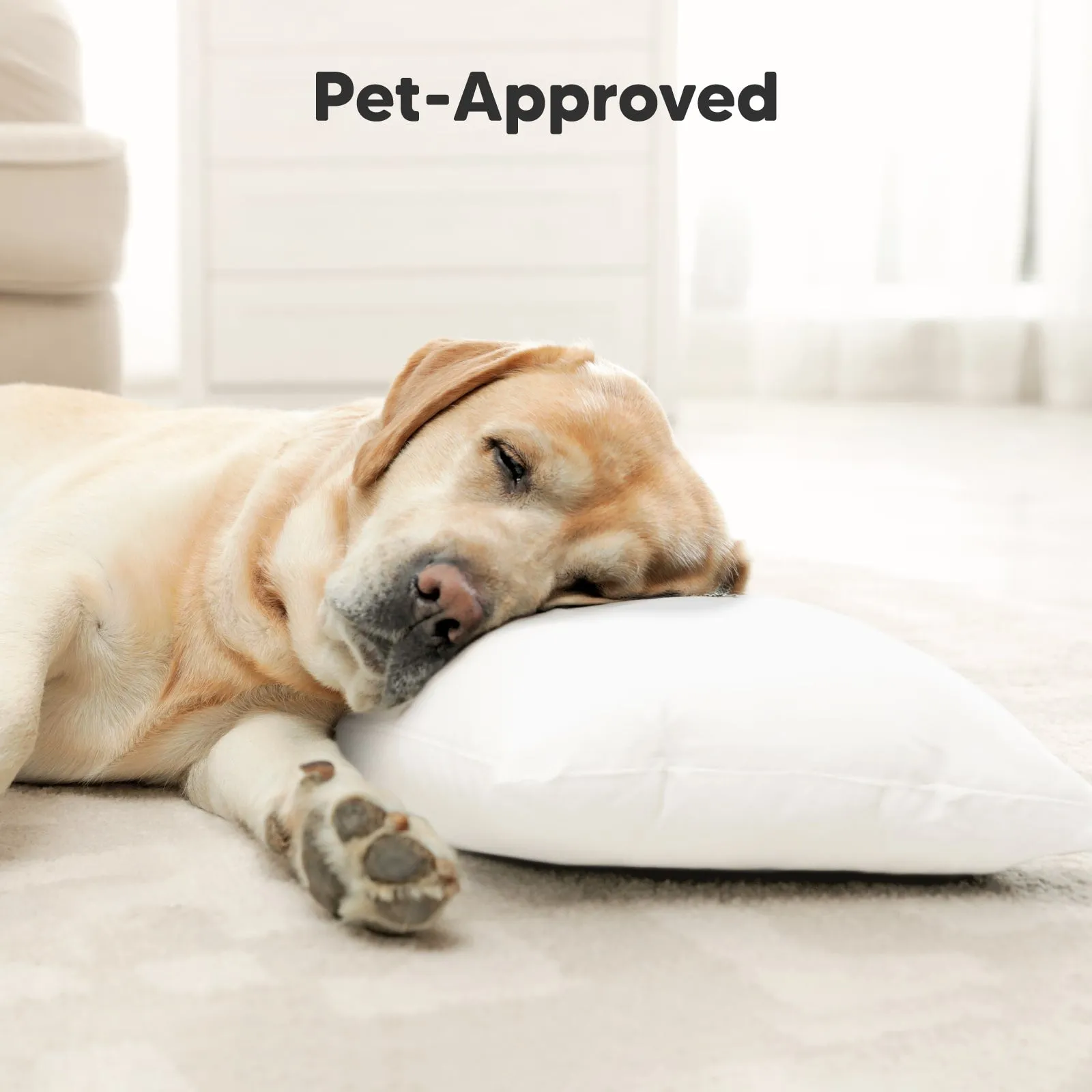 Buddy Toddler Pillow (Soft White)