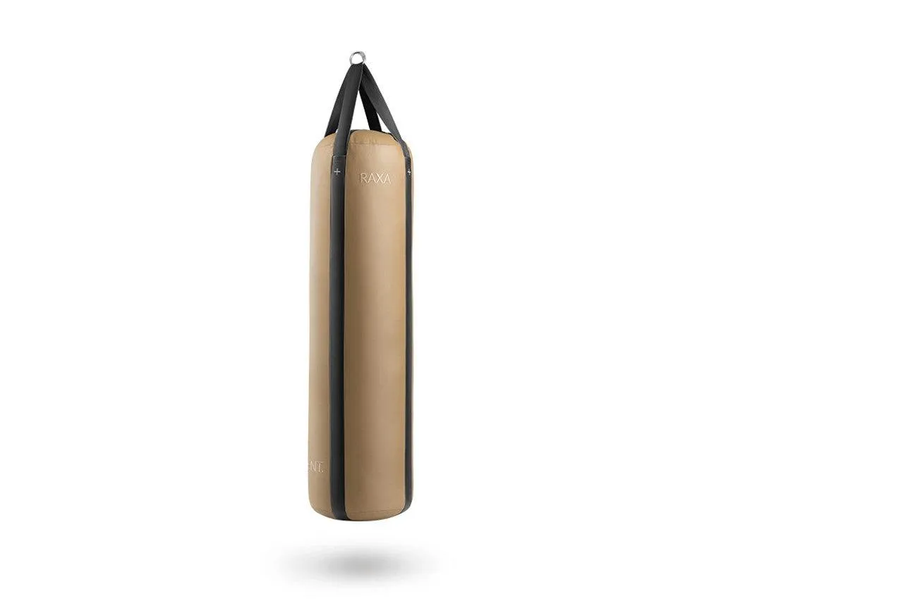 RAXA Punching Bag Set