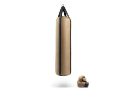 RAXA Punching Bag Set